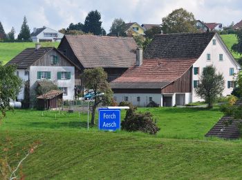 Randonnée A pied Maur - Ebmatingen - Forch - Photo