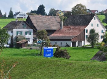 Percorso A piedi Maur - Ebmatingen - Forch - Photo