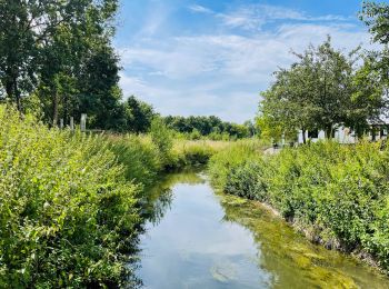 Percorso Marcia Linter - Grote Getewandeling - Photo