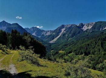 Excursión A pie Feistritz im Rosental - Matschacher Gupf-Runde - Photo