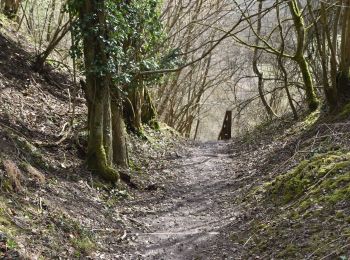 Tour Zu Fuß Tandridge - Woldingham Countryside Walk - Photo