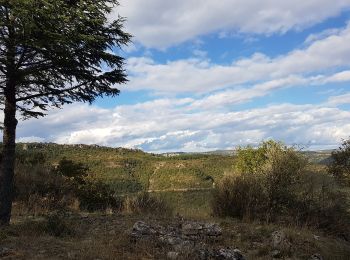 Excursión Marcha nórdica Les Plans - Col du Perthus Plateau de Grézac - Photo