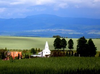 Tocht Te voet okres Prešov - Pútnický chodník - Photo