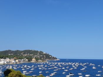 Tocht Stappen Palafrugell - el camì de ronda - Photo