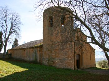 Randonnée A pied Pienza - Ammannati - Photo