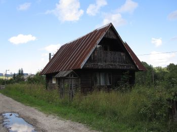 Percorso A piedi Rzepedź - Jawornik - Wahalowski Wierch - Photo