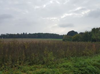 Tocht Te voet Halen - Kartuizerspatiamentum Oranje bol - Photo