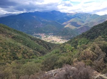 Randonnée Marche Amélie-les-Bains-Palalda - 12 - Photo