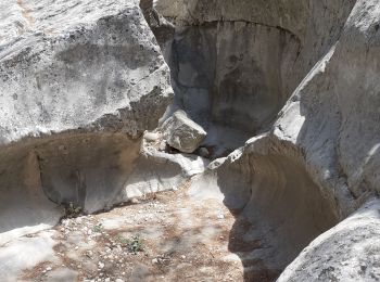 Tocht Stappen Ollioules - Gorges de Destel - Photo