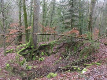 Tour Mountainbike Chaumont - Chaumont Brottes st Rock - Photo