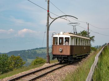 Randonnée A pied Ritten - Renon - IT-26 - Photo