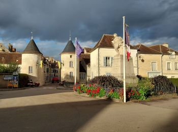 Tour Wandern Chablis - Chablis 231105 - Photo