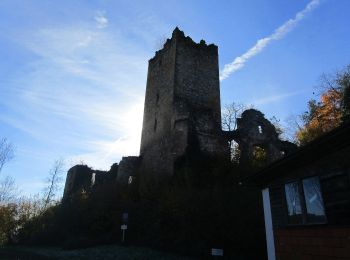 Trail On foot Naas - Wanderweg 1 - Photo