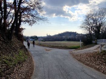 Tour Wandern Peyrins - Peyrins Saint Ange - Photo