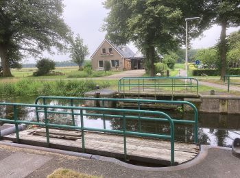 Percorso A piedi Midden-Drenthe - Wijdeblikroute - Photo