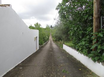 Tour Zu Fuß Querença, Tôr e Benafim - Serra e Montes - Photo