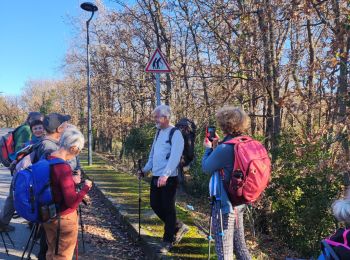 Trail Walking Couiza - Couiza 12 kms - Photo