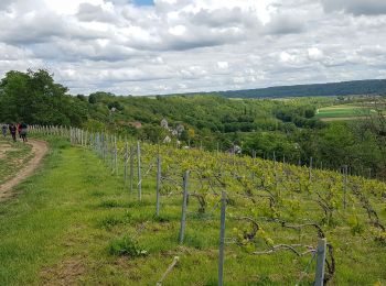 Excursión Senderismo Crouttes-sur-Marne - Crouttes du 23/05/2021 - Photo