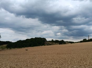 Randonnée Marche Riemst - qwadrifyon ches les bataves  - Photo