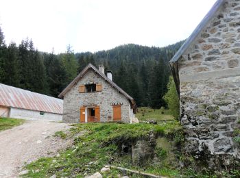 Randonnée Marche Saint-Martin-Vésubie - Lac de Trécolpas - Pas des Ladres - refuge de Cougourde - Photo