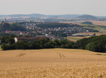 Percorso A piedi Melsungen - Melsunger Rundwanderweg M7 - Photo