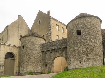 Trail Walking Alise-Sainte-Reine - Alise-Sainte-Reine - Flavigny-sur-Ozerain - Photo