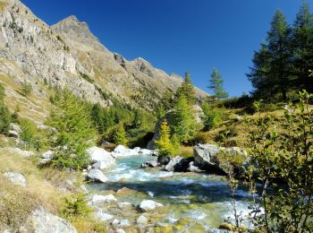 Percorso A piedi Samedan - Palüd Marscha-Crap Alv - Photo