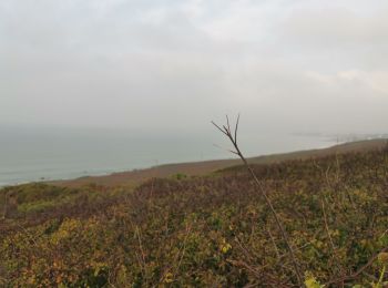 Tocht Stappen Plouhinec - pots Poullan  - Photo