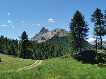 Tocht Stappen Château-Ville-Vieille - Chapelle Saint Simon depuis le sommet Bûcher - Photo