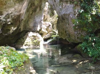 Tocht Stappen Bouvante - 26 gorge de la lyonne - Photo