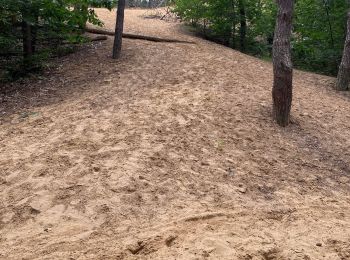 Tocht Stappen Maaseik - Gruitroderbos -  dunes - Photo