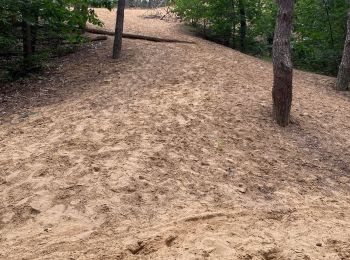 Excursión Senderismo Maaseik - Gruitroderbos -  dunes - Photo