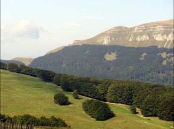 Tocht Paardrijden Bouvante - Boucle Ferme de Lente vers plateau d'Ambel - Photo