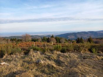 Randonnée Marche Saint-Nicolas-des-Biefs - Petit tour sur le plateau de la Verrerie - Photo