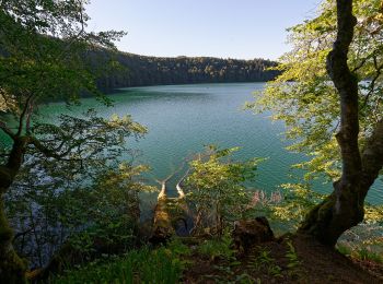 Tour Zu Fuß Besse-et-Saint-Anastaise - Le puy de Montchal et le Lac Pavin - Photo