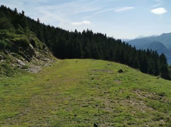 Randonnée Marche Arrens-Marsous - col de soulor, lac de soum, col de bazes, col de soulor  - Photo