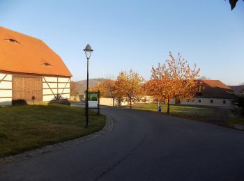 Tour Zu Fuß Großschirma - DE-Grüner Strich und blauer Punkt Nossen- Zellwald- Siebenlehn Markierung z.T. mangelhaft - Photo