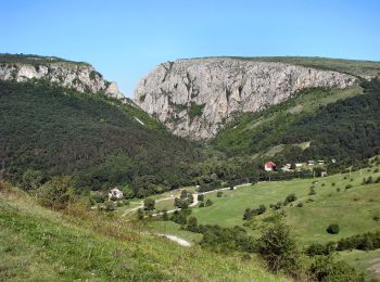 Randonnée A pied Petreștii de Jos - Cabana Cheile Turzii - Cabana Buru - Photo