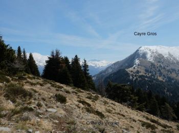 Excursión Senderismo Valdeblore - Mont Viroulet et petit Cayres.Départ Bolline b139 - Photo