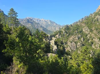 Tour Wandern Corte - Chjarasgiolu tuoni vallée Restonica - Photo