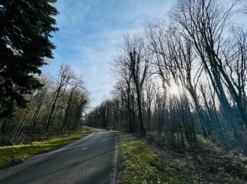 Randonnée Vélo de route Équevillon - Sortie Mariani's mars 2023 - Photo