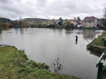 Percorso A piedi Vrčeň - Naučná stezka Vrčeň - Photo