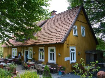 Randonnée A pied Harz (Landkreis Göttingen) - Hutthaler Widerwaage - Photo