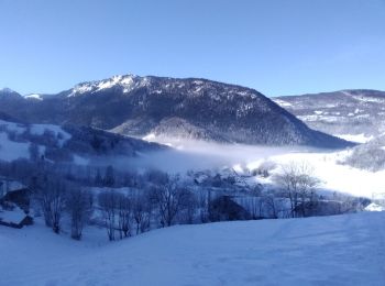 Excursión Esquí de fondo Aillon-le-Jeune - le Morbier - Photo