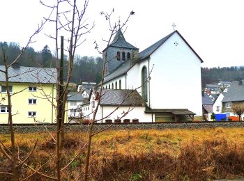 Excursión A pie Olsberg - Wulmeringhausen Rundweg W2 - Photo