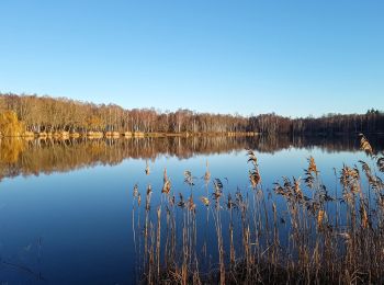 Excursión Senderismo Fère-en-Tardenois - Fère en Tardenois Rando Santé  - Photo