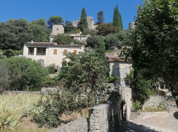 Randonnée Marche La Roque-sur-Cèze - Village La Roque sur Cèze  - Photo