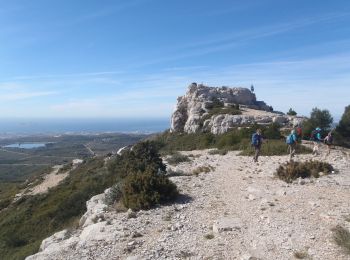 Percorso A piedi Mimet - Belvédère de la Grande Etoile : - Photo