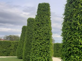 Randonnée Marche Bourg-de-Péage - bois des Naix  - Photo