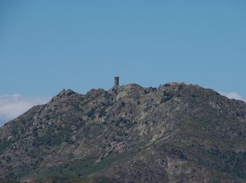 Trail On foot Collioure - La Tour Massane par le Chemin de l'Eau - Photo